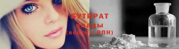 индика Богданович