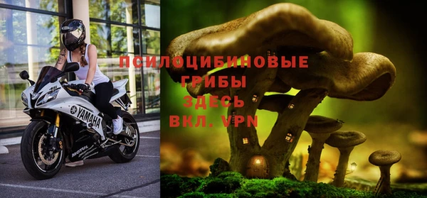 прущая мука Богородицк