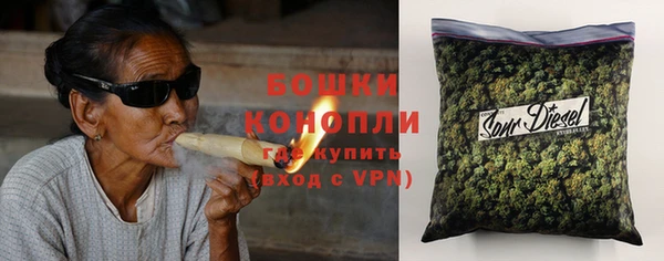 крисы Слюдянка