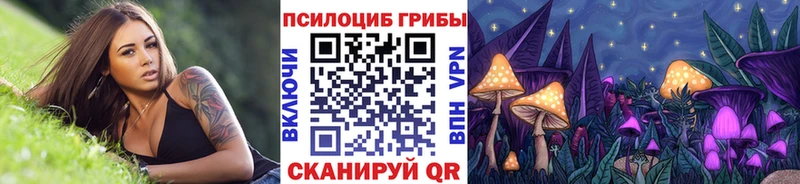 ссылка на мегу зеркало  Барабинск  Псилоцибиновые грибы Psilocybe 